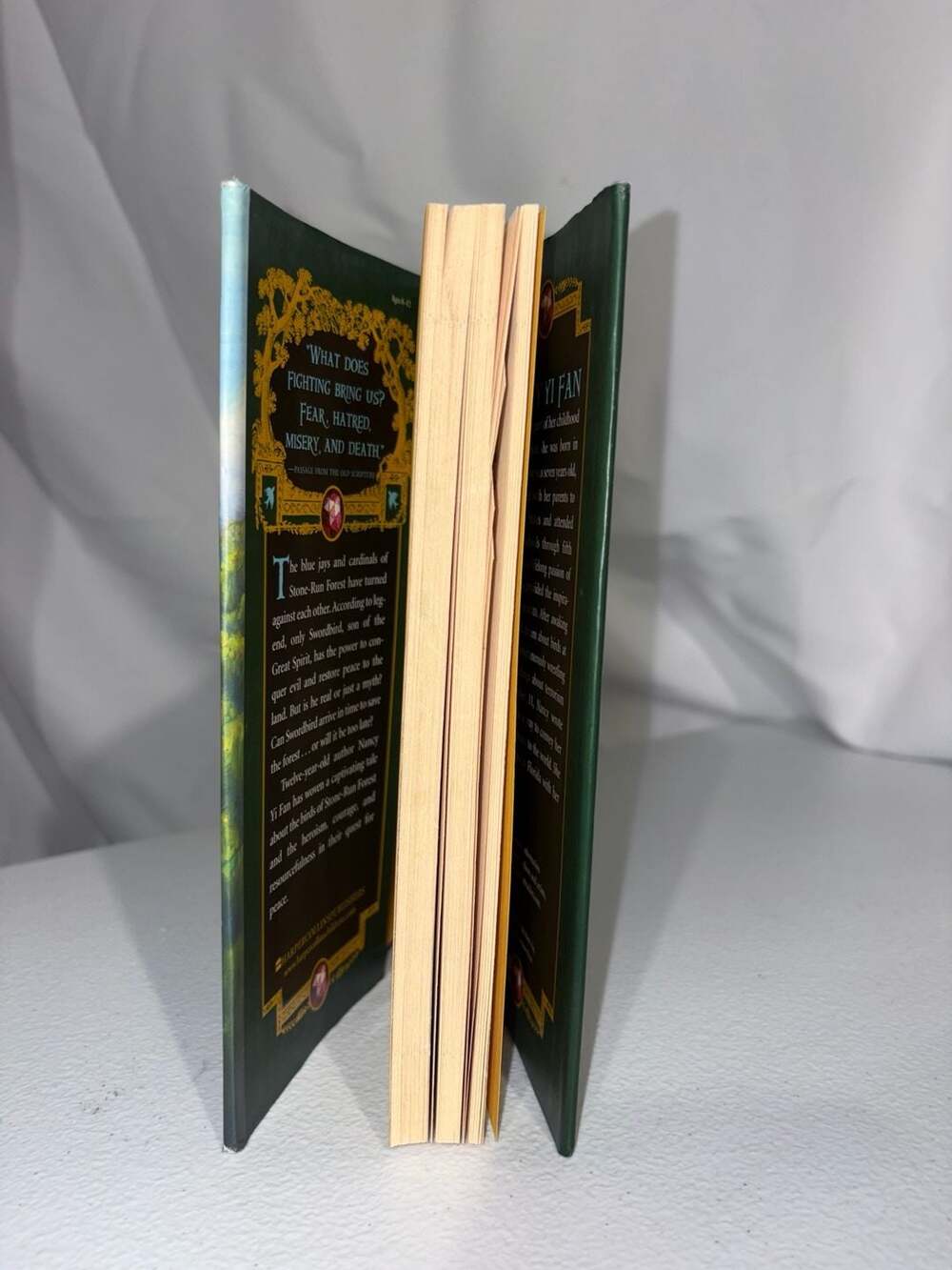 Swordbird - by Nancy Yi Fan (Paperback) : , - Picture 2 of 3